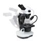 Microscopio Euromex NexiusZoom GEM para Gemología (Configurable)