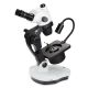 Microscopio Euromex NexiusZoom GEM para Gemología (Configurable)