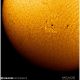 Telescopio Solar Coronado SolarMax III 70/400 0.5Å BF15 OTA