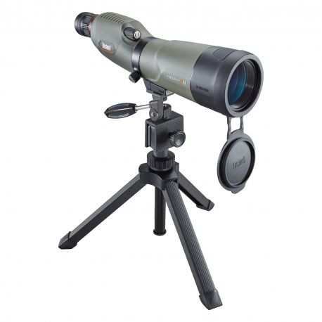 Telescopio Terrestre Bushnell Trophy X-Treme 20-60x65 (Visión recta)