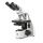 Microscopio Binocular Euromex bScope 40-1000x con Contraste de Fase