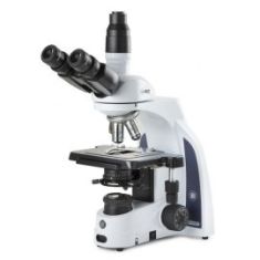 Microscopio Trinocular Euromex iScope 1153 PLi (Óptica al infinito)