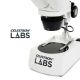 Lua Binocular Celestron Labs S10-60 con 4 Especímenes Incluidos