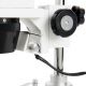Lua Binocular Celestron Labs S10-60 con 4 Especímenes Incluidos