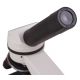 Microscopio de Iniciación Levenhuk Rainbow 2L Moonstone 40-400x