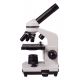 Microscopio de Iniciación Levenhuk Rainbow 2L Moonstone 40-400x